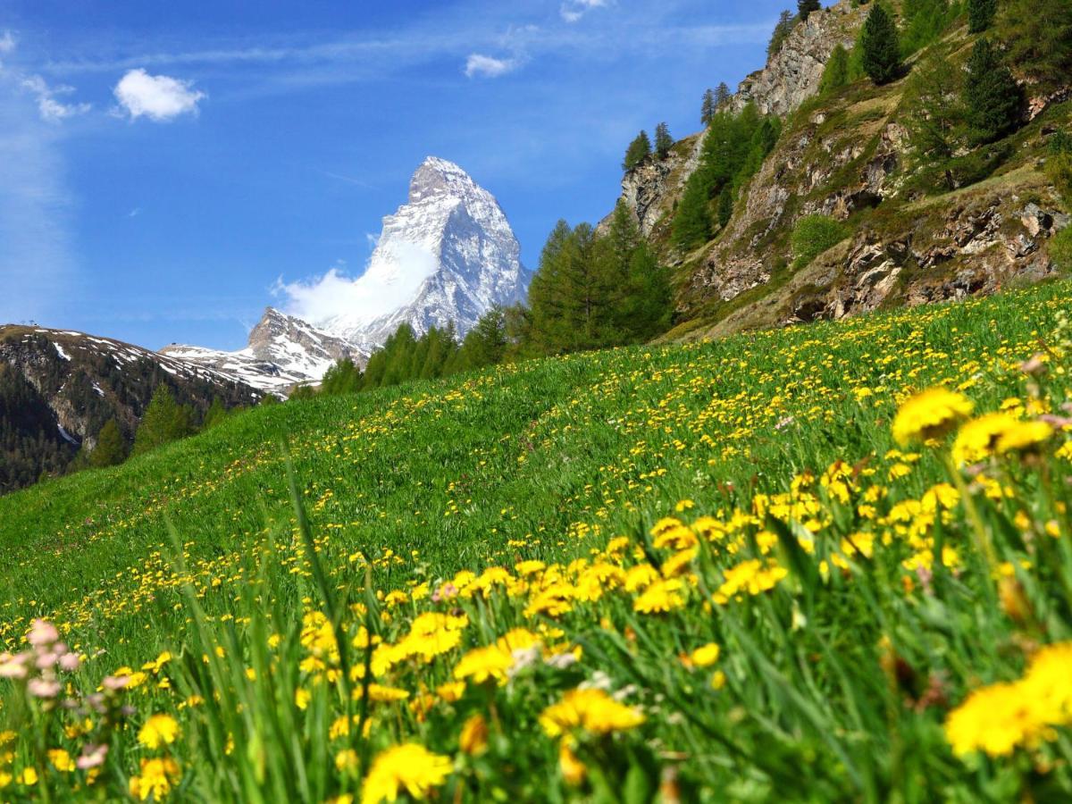 Apartment St- Martin By Interhome Zermatt Extérieur photo